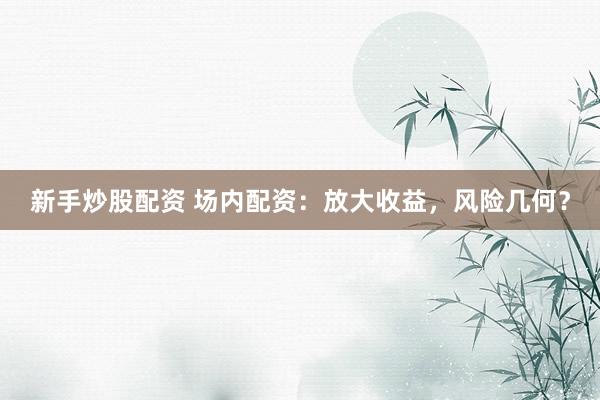 新手炒股配资 场内配资：放大收益，风险几何？