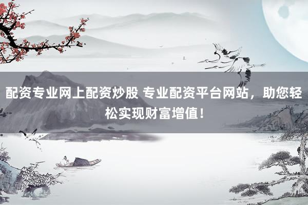 配资专业网上配资炒股 专业配资平台网站，助您轻松实现财富增值！