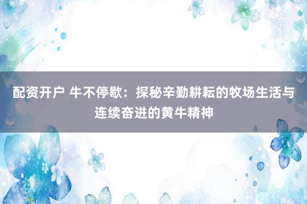 配资开户 牛不停歇：探秘辛勤耕耘的牧场生活与连续奋进的黄牛精神