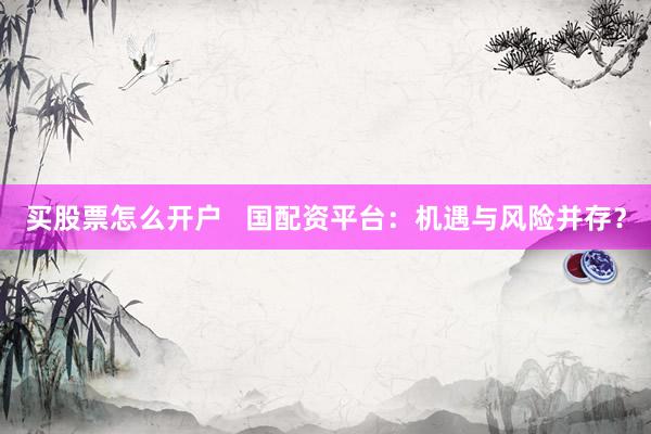 买股票怎么开户   国配资平台：机遇与风险并存？