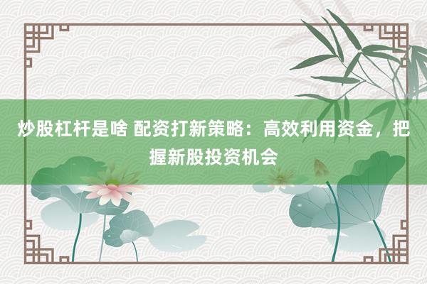 炒股杠杆是啥 配资打新策略：高效利用资金，把握新股投资机会