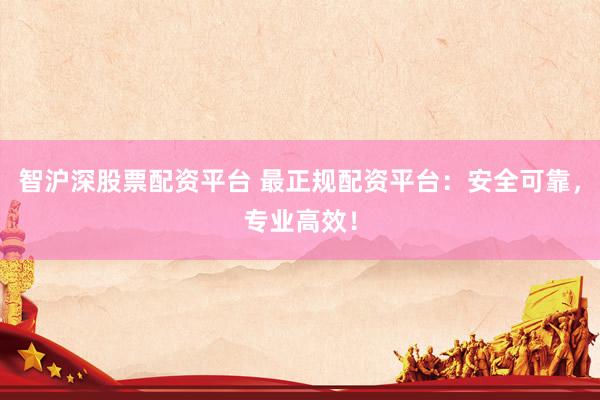 智沪深股票配资平台 最正规配资平台：安全可靠，专业高效！