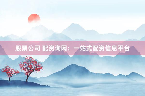 股票公司 配资询网:一站式配资信息平台