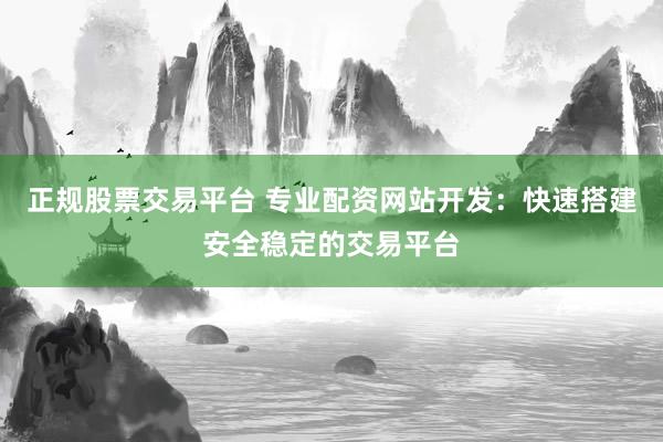 正规股票交易平台 专业配资网站开发：快速搭建安全稳定的交易平台