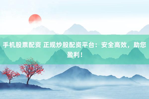 手机股票配资 正规炒股配资平台：安全高效，助您盈利！