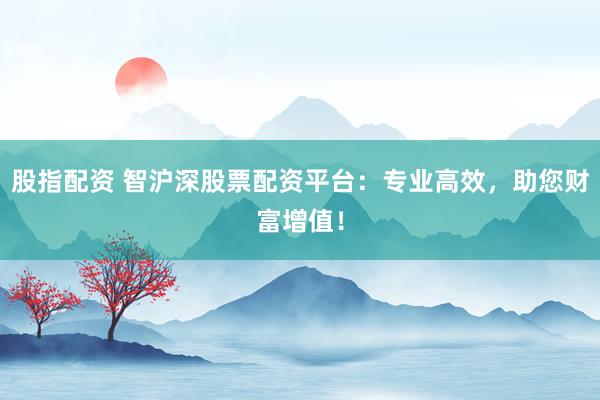 股指配资 智沪深股票配资平台：专业高效，助您财富增值！
