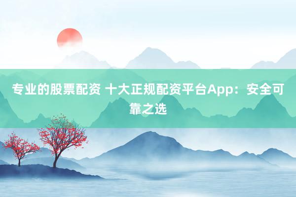 专业的股票配资 十大正规配资平台App：安全可靠之选