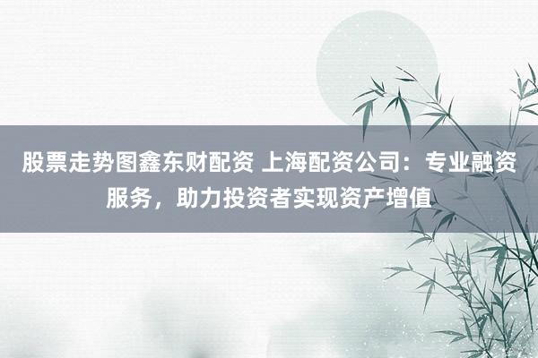 股票走势图鑫东财配资 上海配资公司：专业融资服务，助力投资者实现资产增值