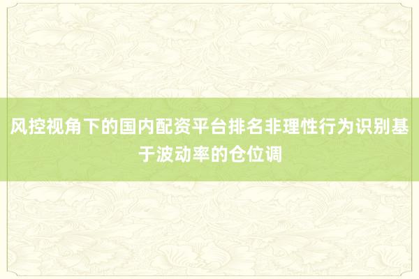 风控视角下的国内配资平台排名非理性行为识别基于波动率的仓位调