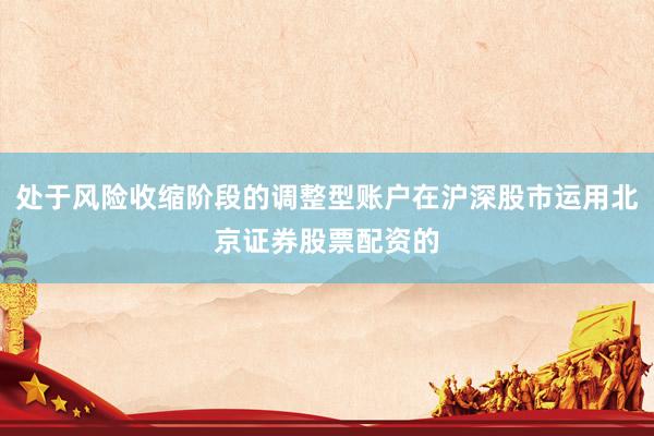 处于风险收缩阶段的调整型账户在沪深股市运用北京证券股票配资的