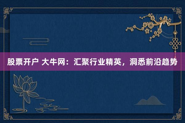 股票开户 大牛网：汇聚行业精英，洞悉前沿趋势